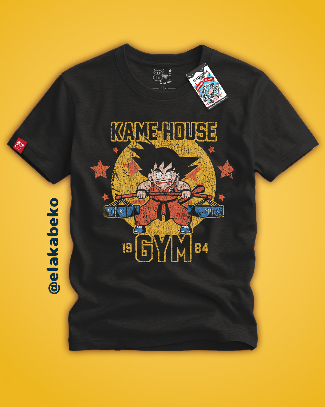 Dragon Ball - Kame House Gym