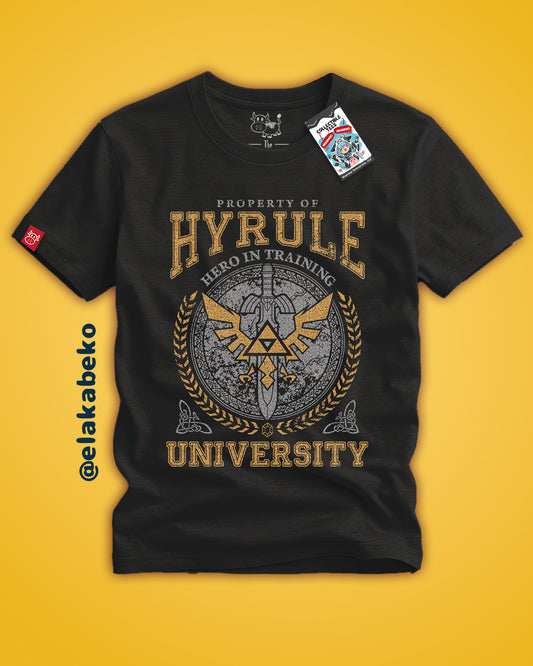 Legend of Zelda - Hyrule University