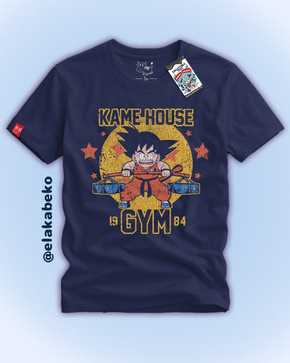 Dragon Ball - Kame House Gym