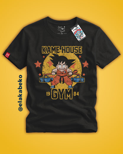 Dragon Ball - Kame House Gym