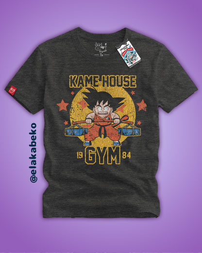 Dragon Ball - Kame House Gym